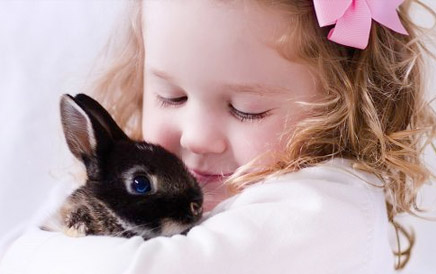 Celebrating National Love Your Pet Day