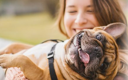 How to Train your Puppy for National Puppy Day