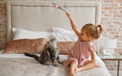 Guard Your Pet From Harm With a Pet Disaster Kit