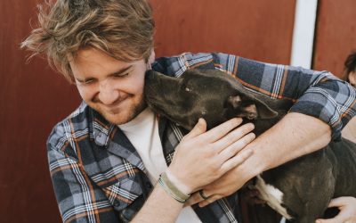 Three Things to Consider When Adopting a Pet