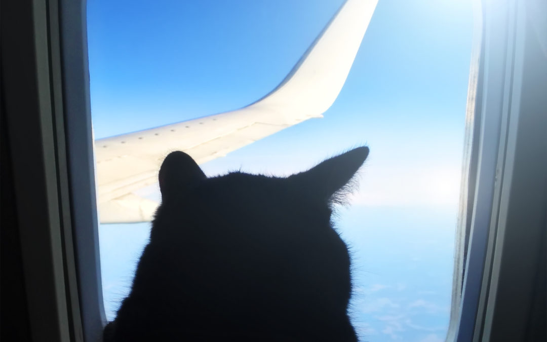 The Best Season For Air Travel