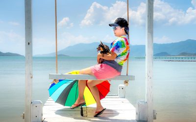 A Guide to Pet-friendly Hotels and Travel