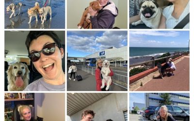 WWAT Celebrates 2022 Furry Friend Reunions