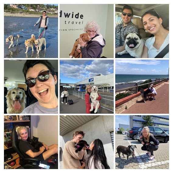 WWAT Celebrates 2022 Furry Friend Reunions