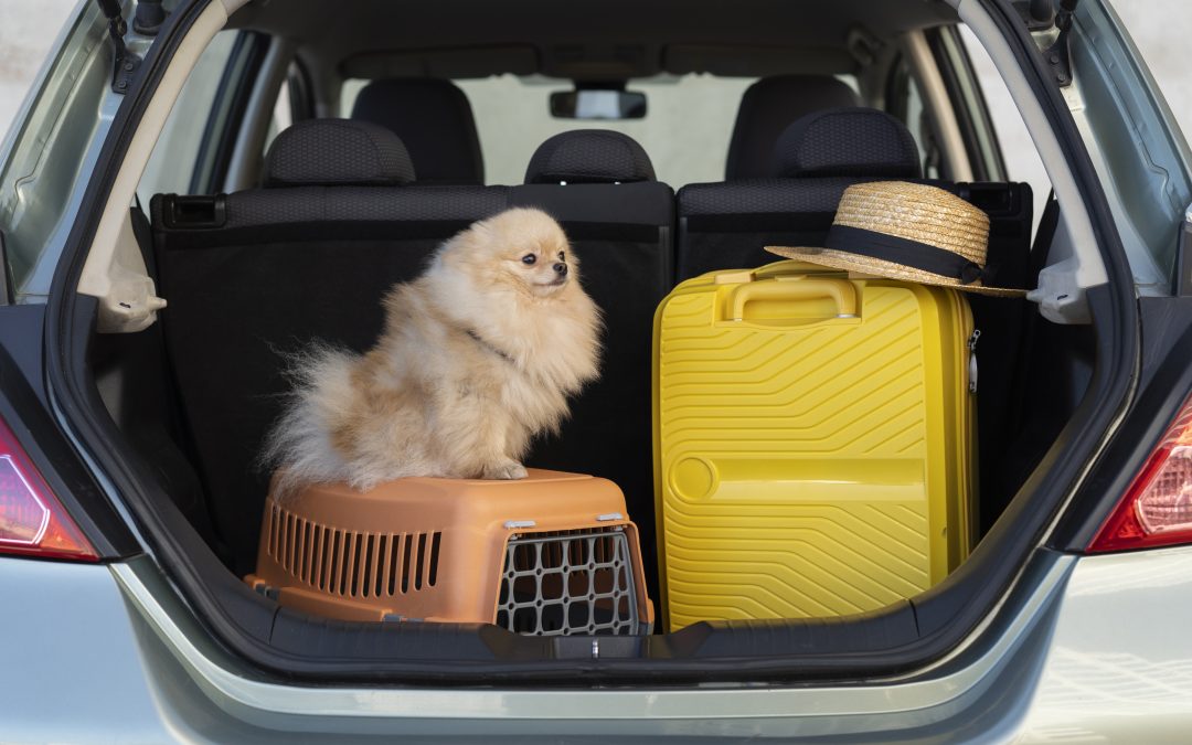 The Ultimate Checklist for Shipping a Dog from USA to Canada