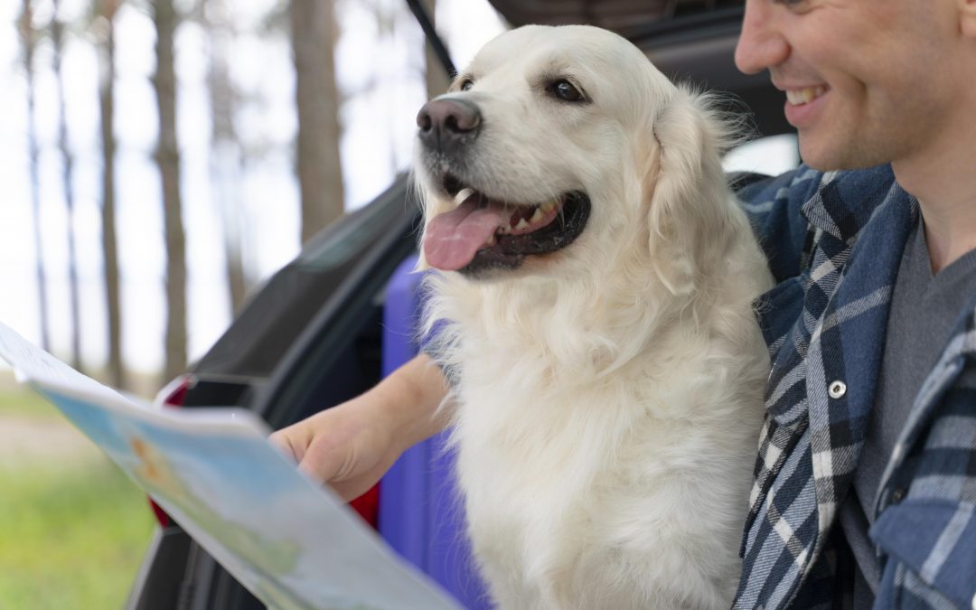 Your Guide to Pet Transport Within Canada