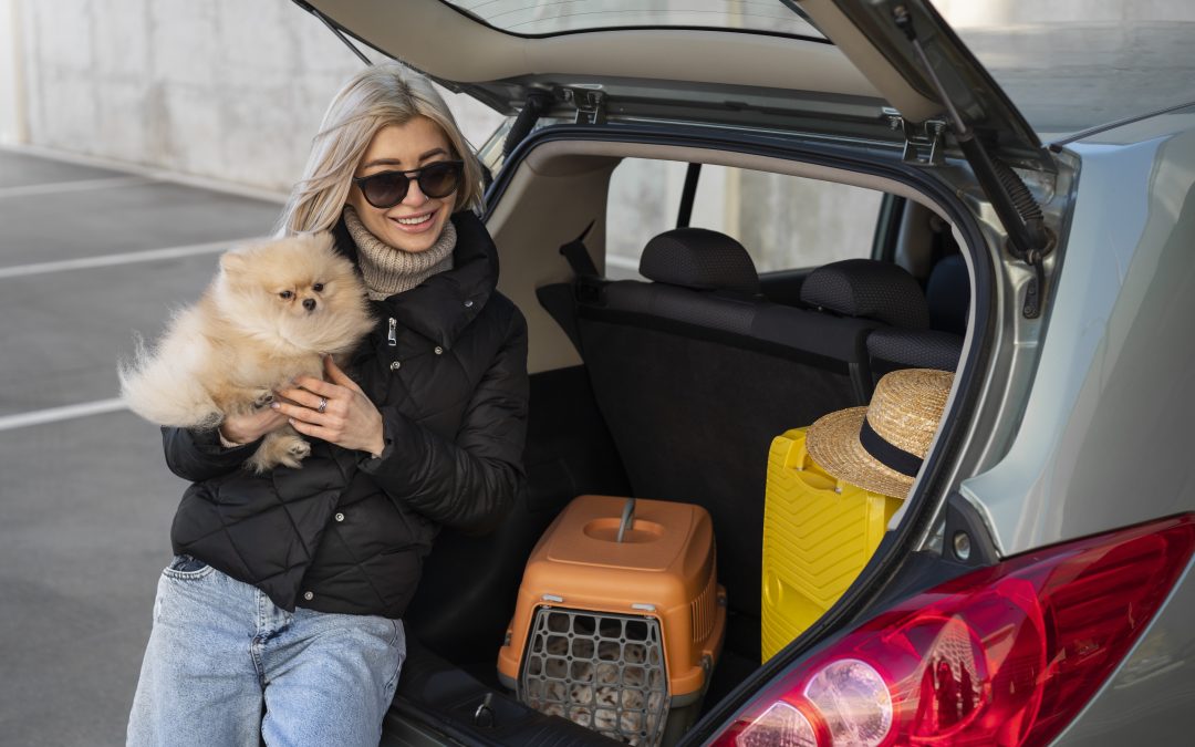 International pet movers guiding pet owners through Canada’s import process at an airport customs area.